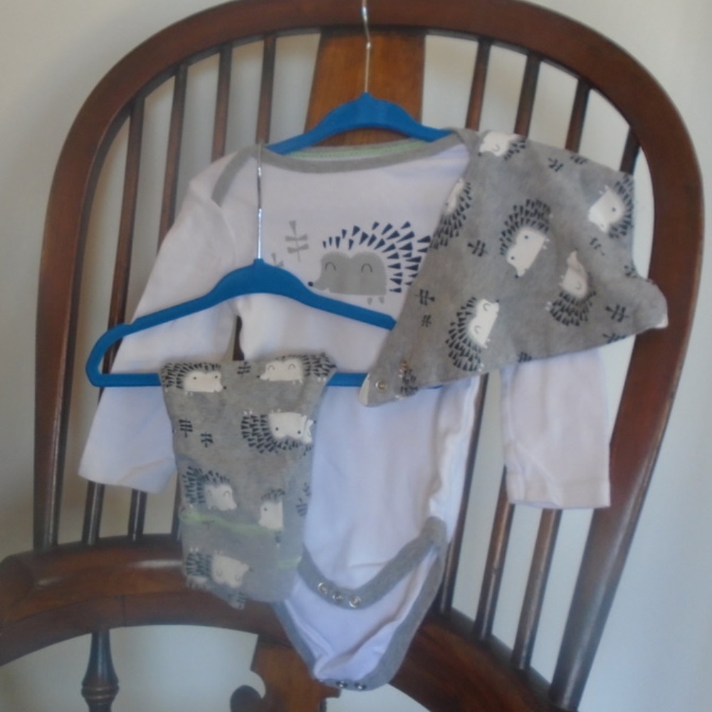 Hedgehog Gender Neutral Outfit